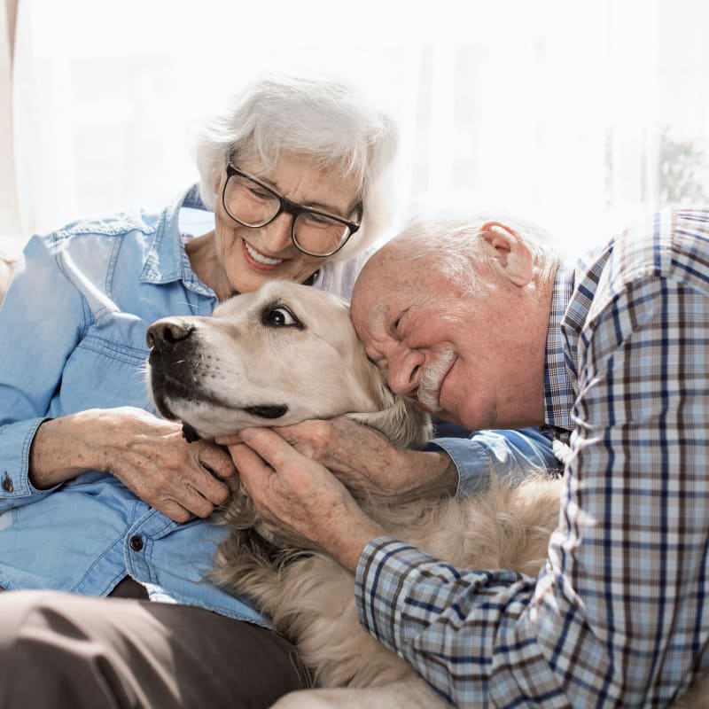 Geriatric dog with senior owners